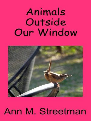 cover image of Animals Outside Our Window